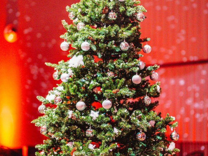 Novoletna jelka z okraski